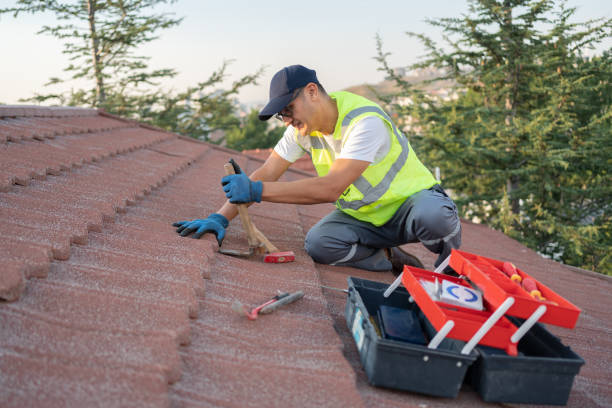 Best Roof Maintenance Services  in Woodlynne, NJ